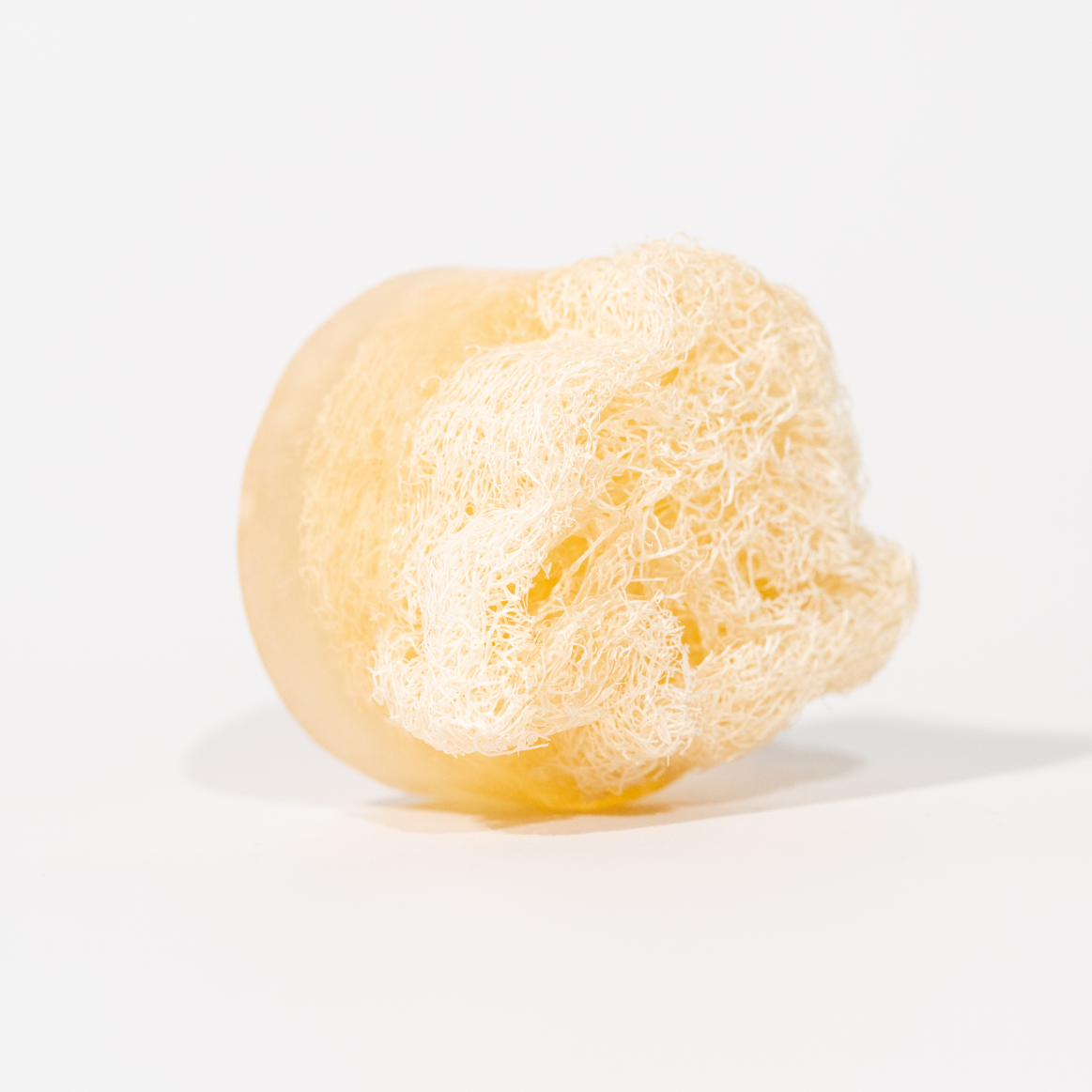 Savon Lait de chèvre