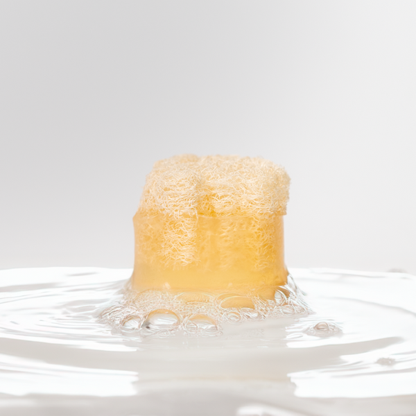 Savon Lait de chèvre